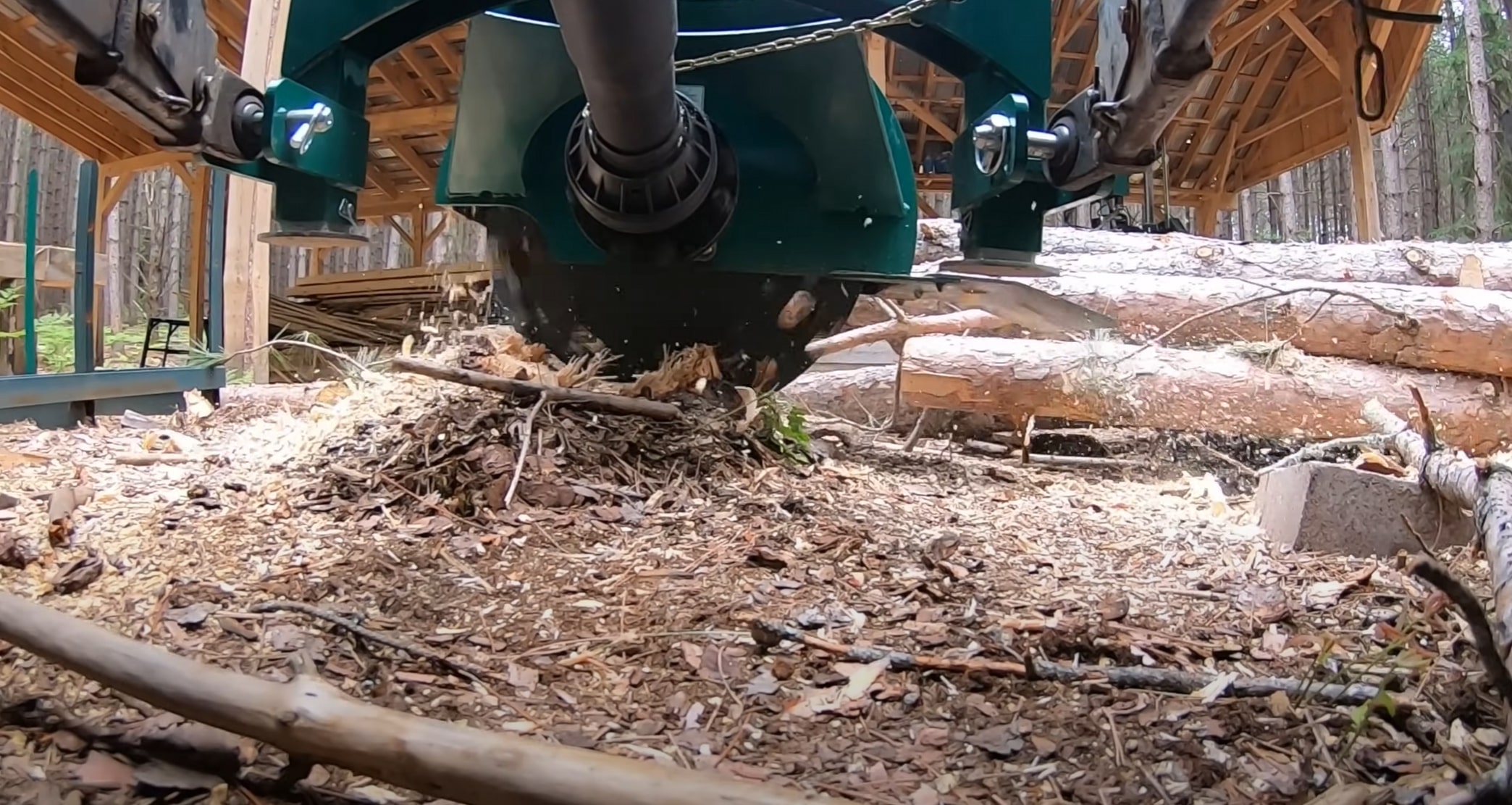 Professional stump grinding service in Paterson, NJ